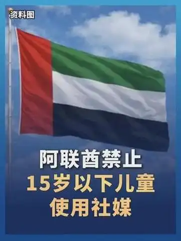 阿联酋社媒禁令引热议，电竞选手低龄化趋势再成焦点
